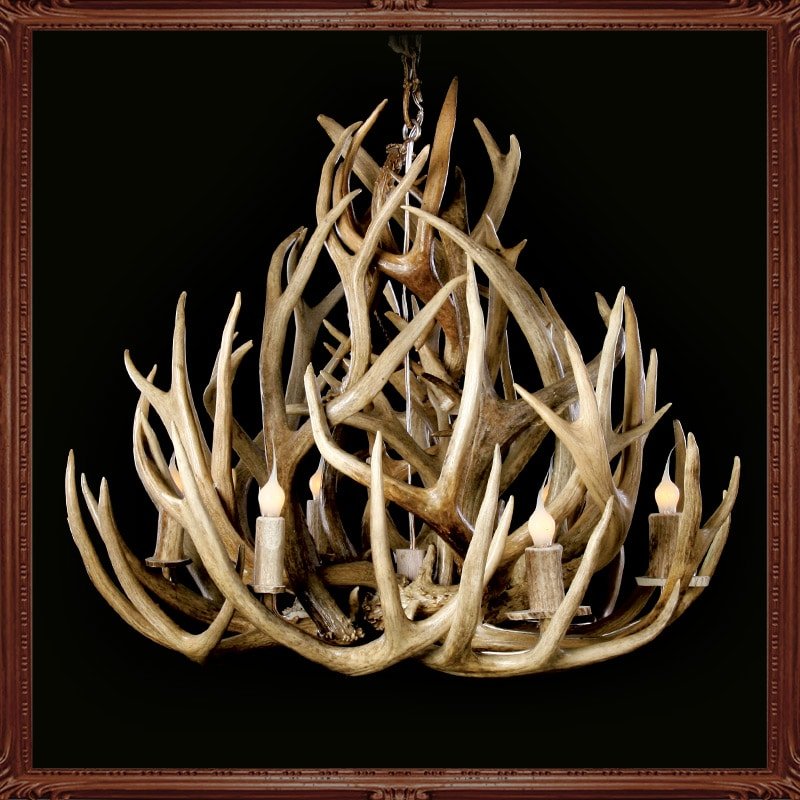 Little Big Horns Antler Furniture | Gallery Little Big Horns Antler Furniture|Gallery