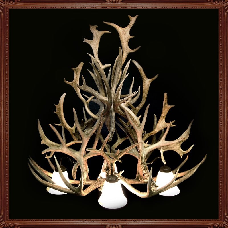 Little Big Horns Antler Furniture | Gallery Little Big Horns Antler Furniture|Gallery