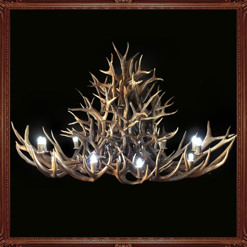 Little Big Horns Antler Furniture | Gallery Little Big Horns Antler Furniture|Gallery