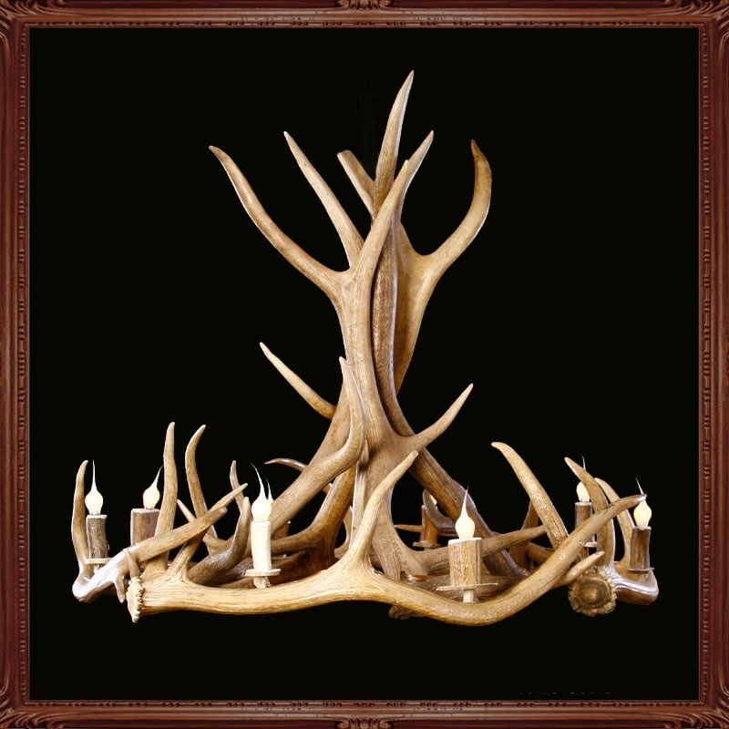 Little Big Horns Antler Furniture | Gallery Little Big Horns Antler Furniture|Gallery