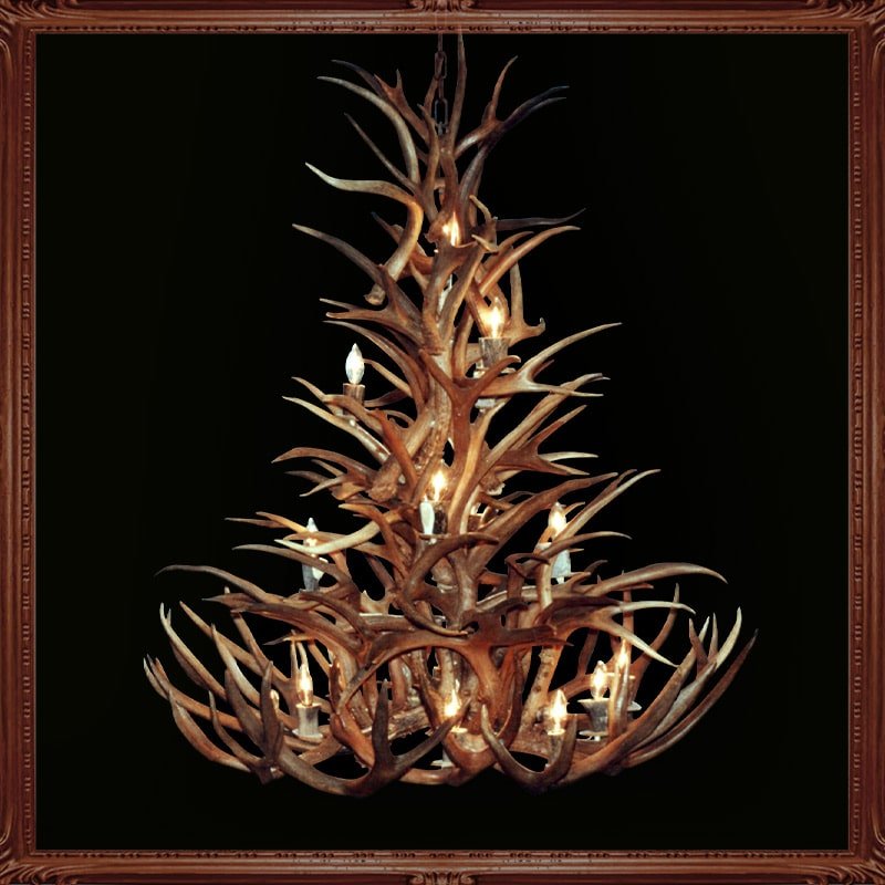 Little Big Horns Antler Furniture | Gallery Little Big Horns Antler Furniture|Gallery