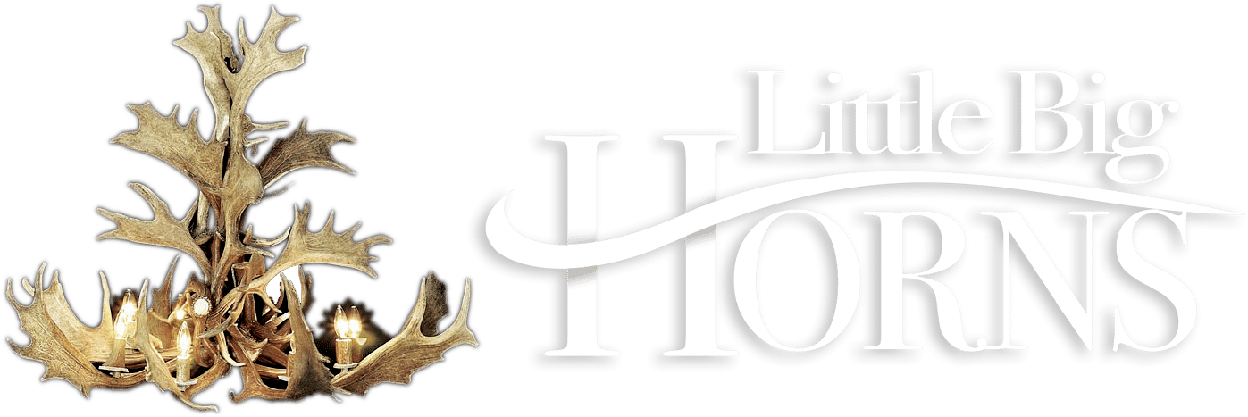 Little Big Horns Antler Furniture | Home Little Big Horns Antler Furniture | Home