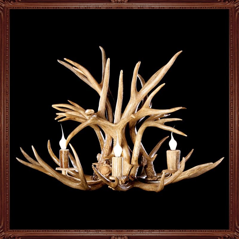 Little Big Horns Antler Furniture | Gallery Little Big Horns Antler Furniture|Gallery