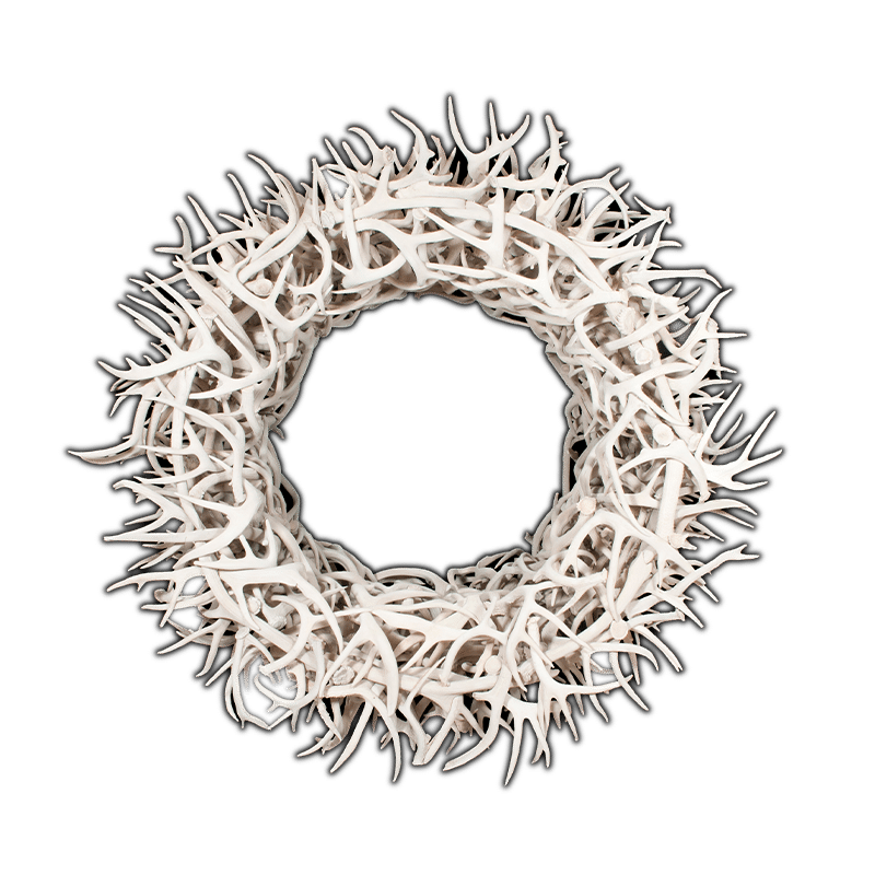 Little Big Horns Antler Furniture | Sculptures Antler Circle