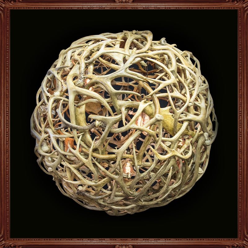 Little Big Horns Antler Furniture | Gallery Little Big Horns Antler Furniture|Gallery