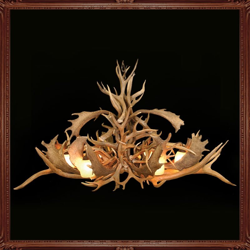 Little Big Horns Antler Furniture | Gallery Little Big Horns Antler Furniture|Gallery